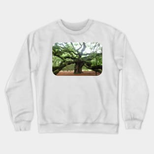 The Angel Oak Tree in South Carolina Crewneck Sweatshirt